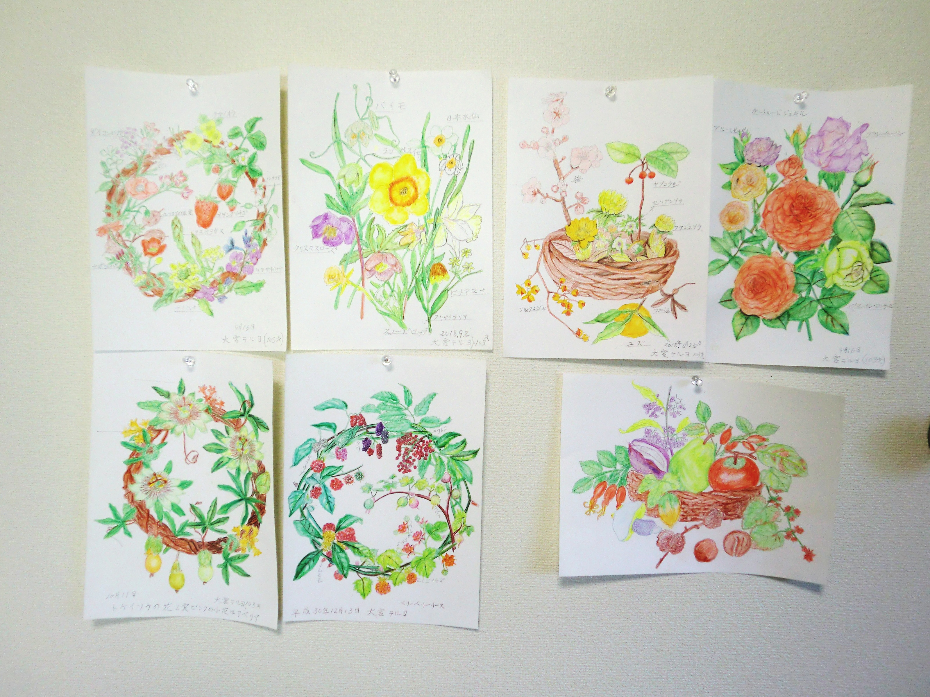 患者様が描いた花や植物の絵