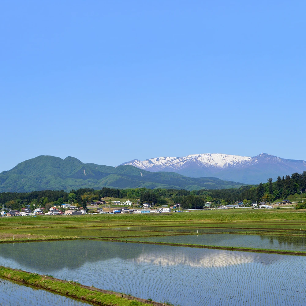 四季の山並み